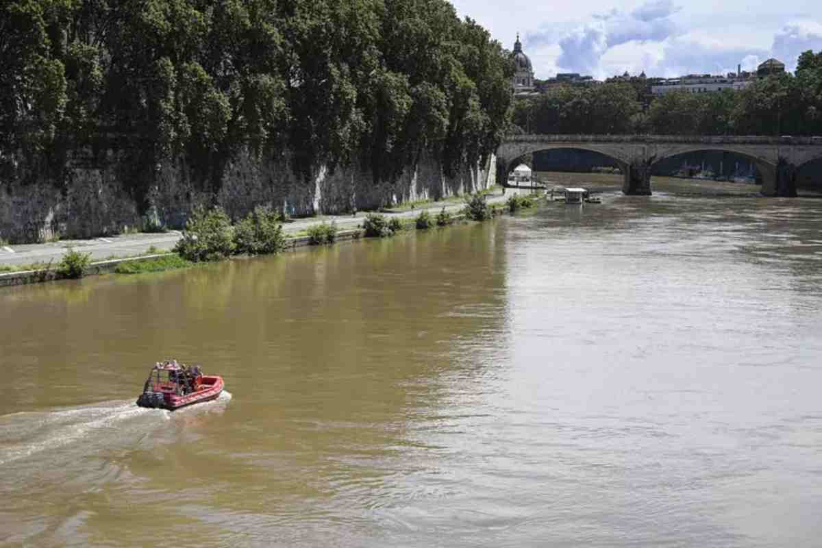 Ricerca In Corso Per Un Ragazz