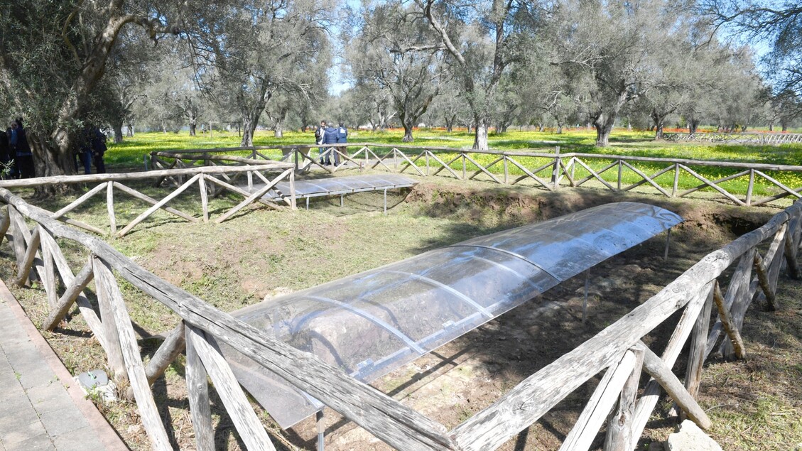 Riqualificazione Del Parco Arc