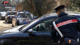 Salvataggio di un cane in cond
