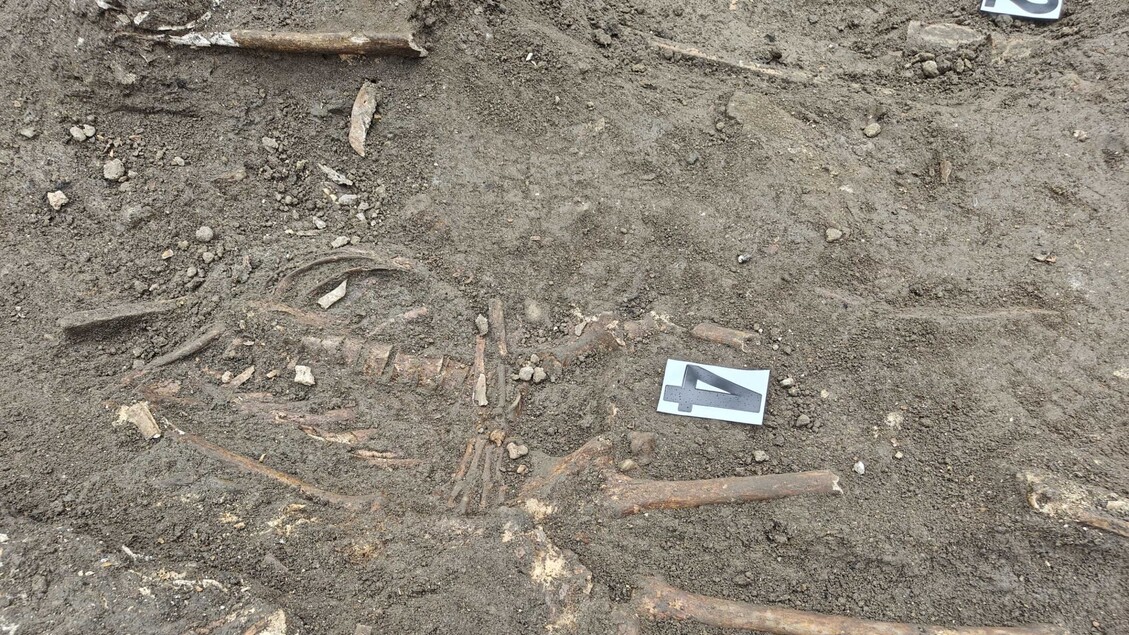 Scoperte Archeologiche A Piazz