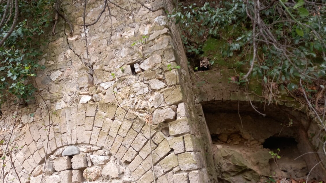 Scoperti I Resti Di Un Antico