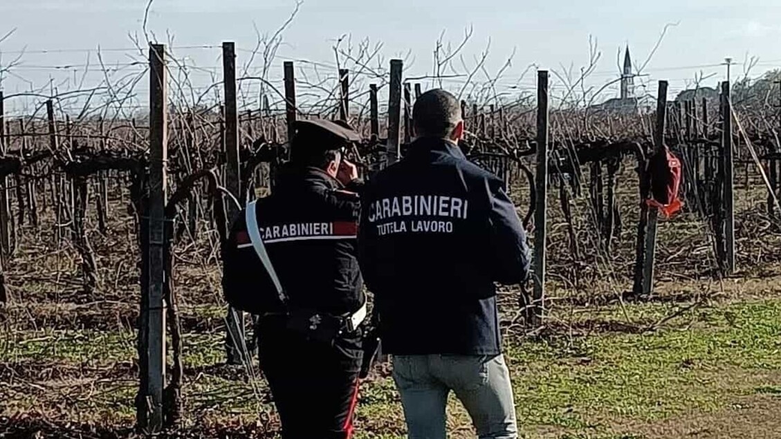 Scoperto Un Vasto Sistema Di C