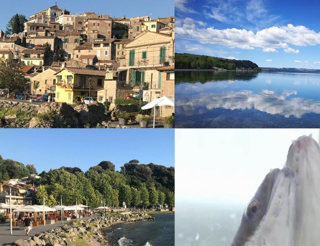 Scoprire Anguillara Sabazia3A T