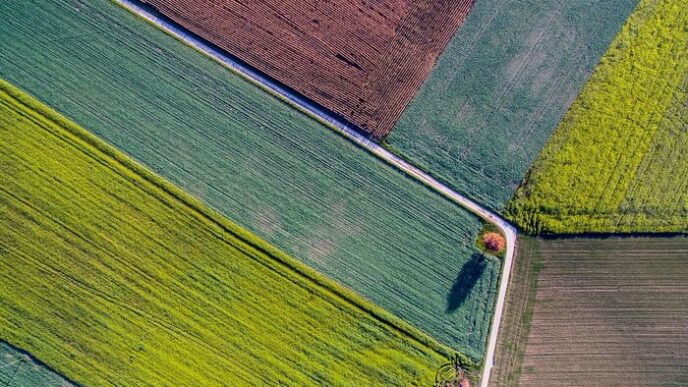 Simbiose Lancia In Europa Una