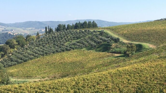 Sommelier Stellati In Friuli3A
