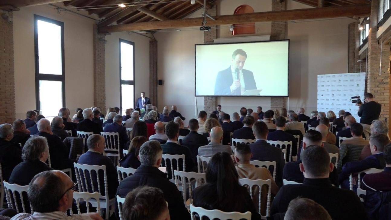 Stati Generali Dei Pallet A Re