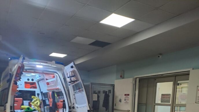 Tragico Incidente Sul Lavoro A 5