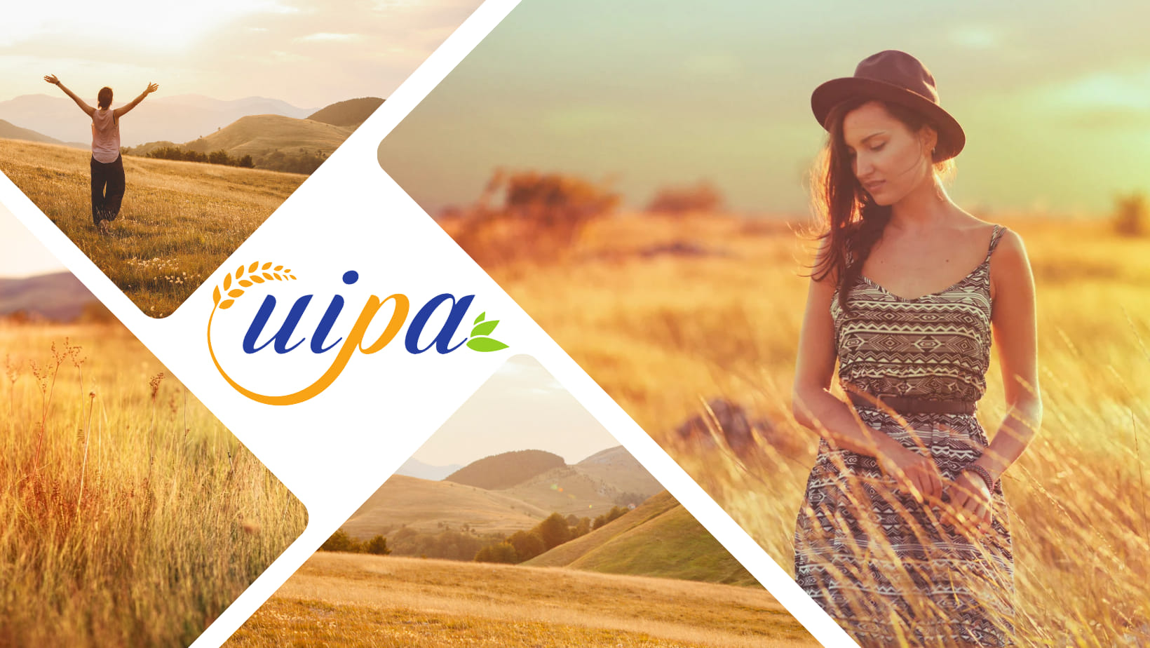 Uipa3A Un Ponte Tra Agricoltura