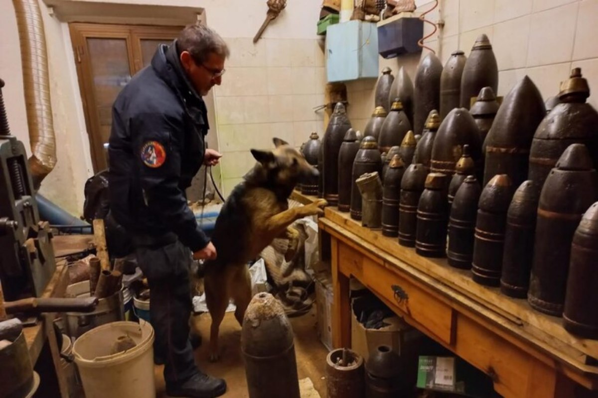 Un Nonno Sorprende I Nipoti Co