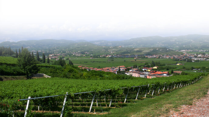 Valpolicella In Mostra3A Il Con