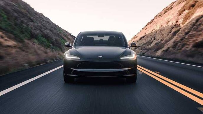 Vendite Tesla In Calo3A I Dati