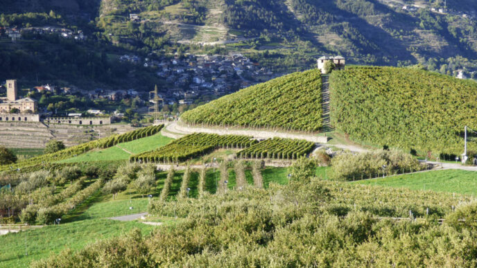 Vinitaly 20253A Ismea Sostiene