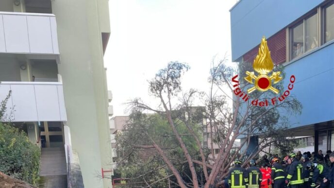 Violento Incidente Universitar