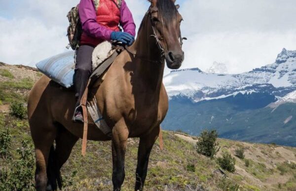 Volonline presenta Horse Voyag