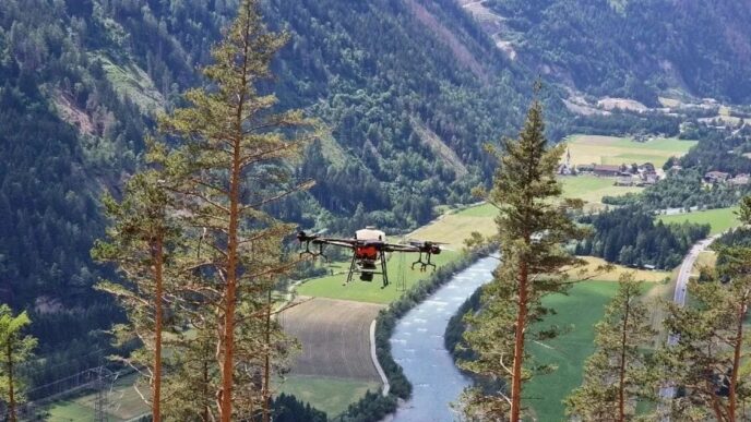 Cambiamenti Climatici E Forest