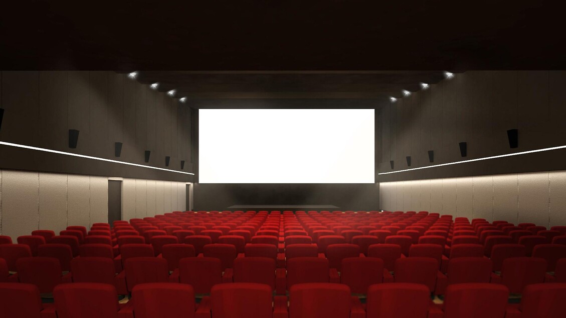 Appello Per Salvare I Cinema D