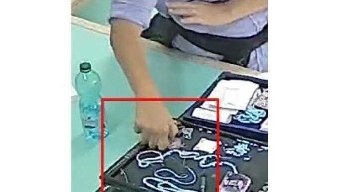 Arrestata Una Donna Per Furto