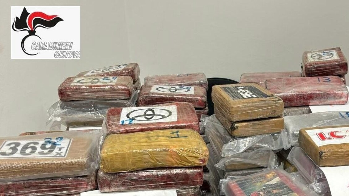 Arrestato Un Portuale A Genova