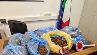 Blitz Della Polizia Locale A M