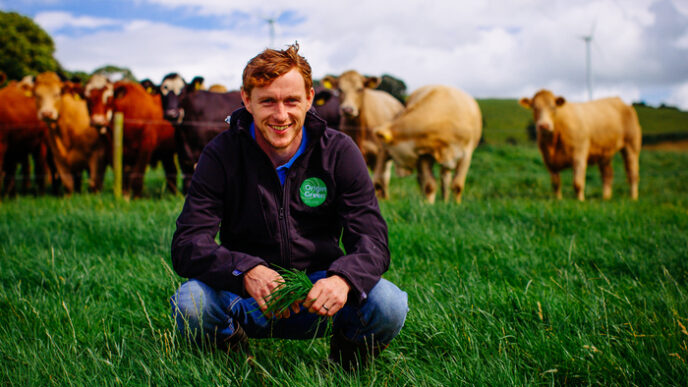 Bord Bia Presenta L27Eccellenza