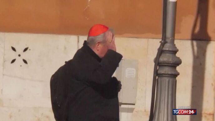 Cardinali Da Tutto Il Mondo Si
