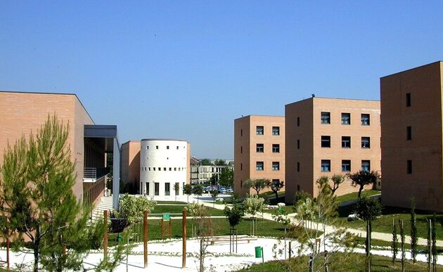 Career Day A Pescara Il 6 Magg