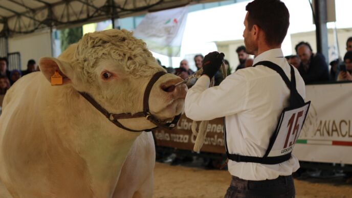 Cerveteri In Evidenza3A I Giova