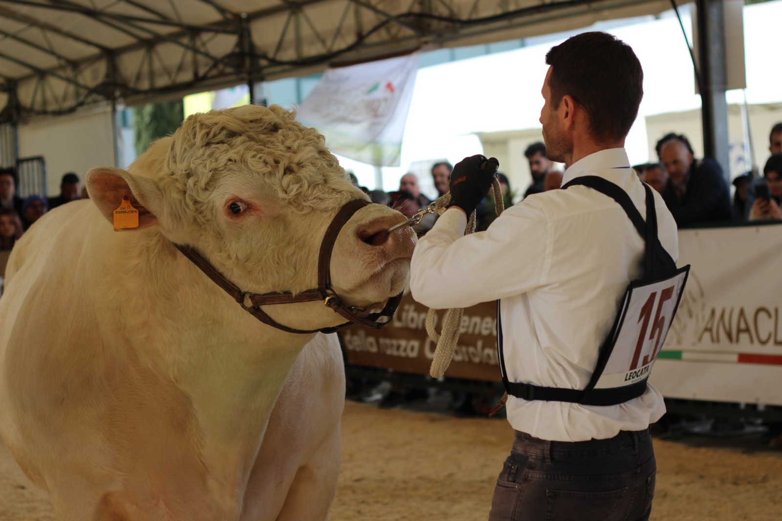 Cerveteri In Evidenza3A I Giova