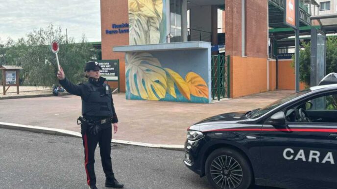 Controlli Dei Carabinieri A Ro