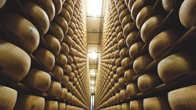 Dazi Imposti Su Parmigiano Reg