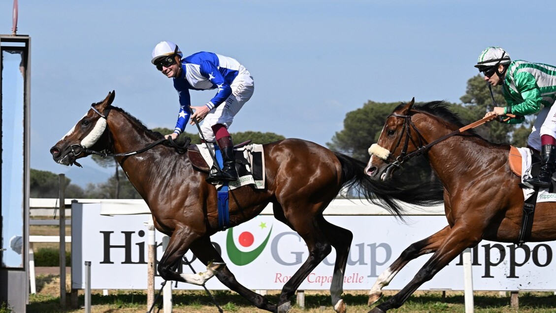 Domani Alle28099Ippodromo Capannell