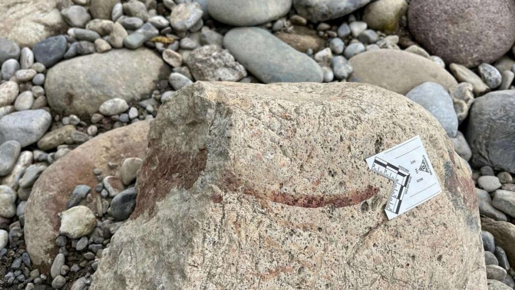 Donna Trovata Morta Sul Fiume