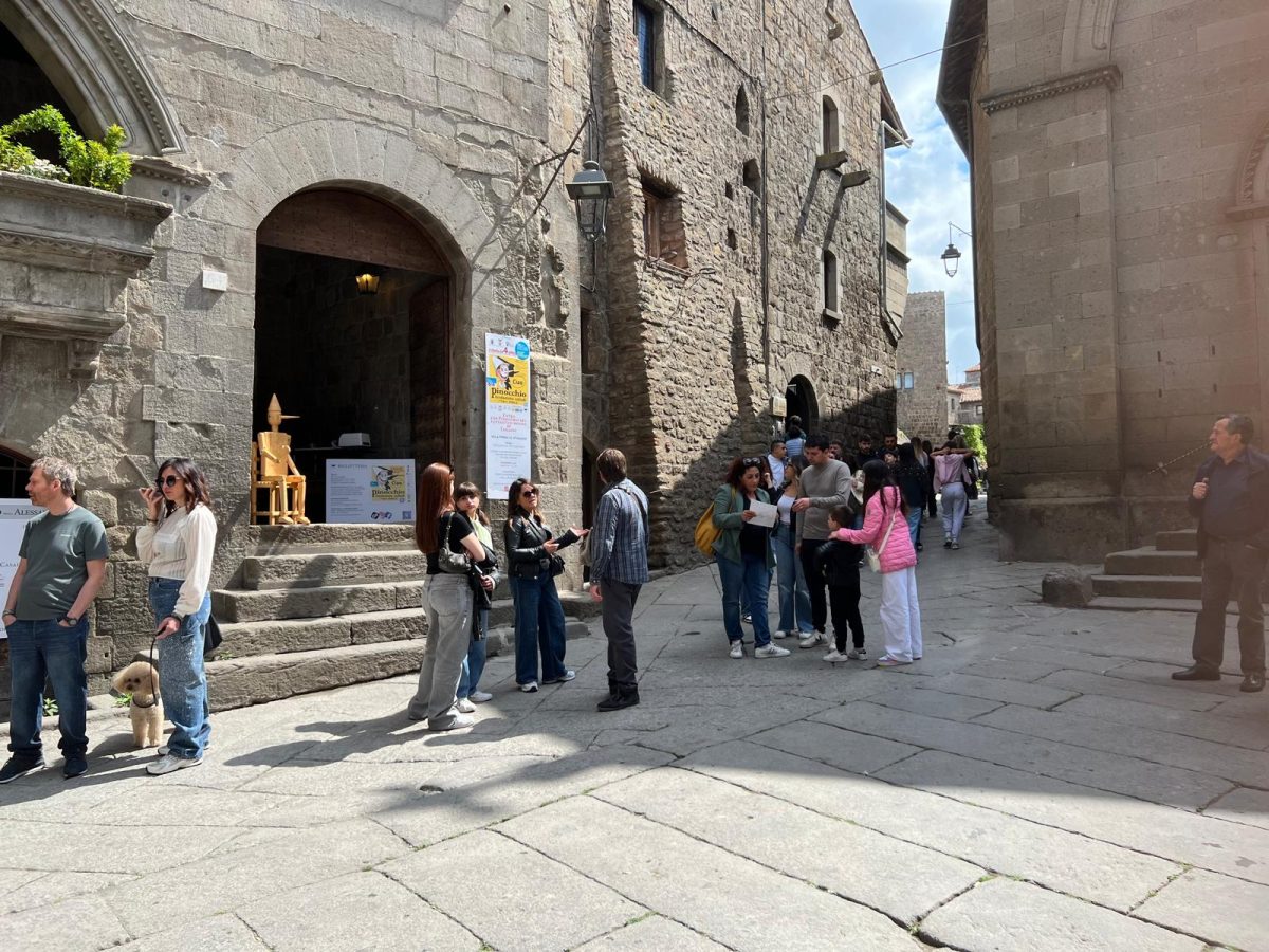 Flessione Dei Visitatori Alla