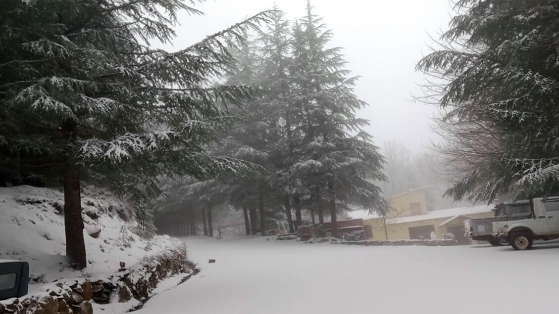 Freddo E Neve3A Un Nucleo Polar