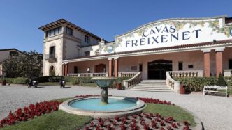 Freixenet Annuncia Taglio Di 1