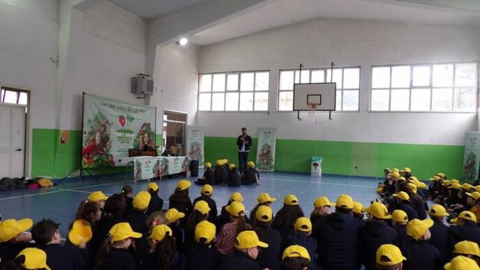 Fruit And Salad School Games 2