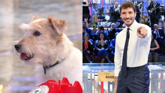 Gennarino2C La Mascotte Jack Ru