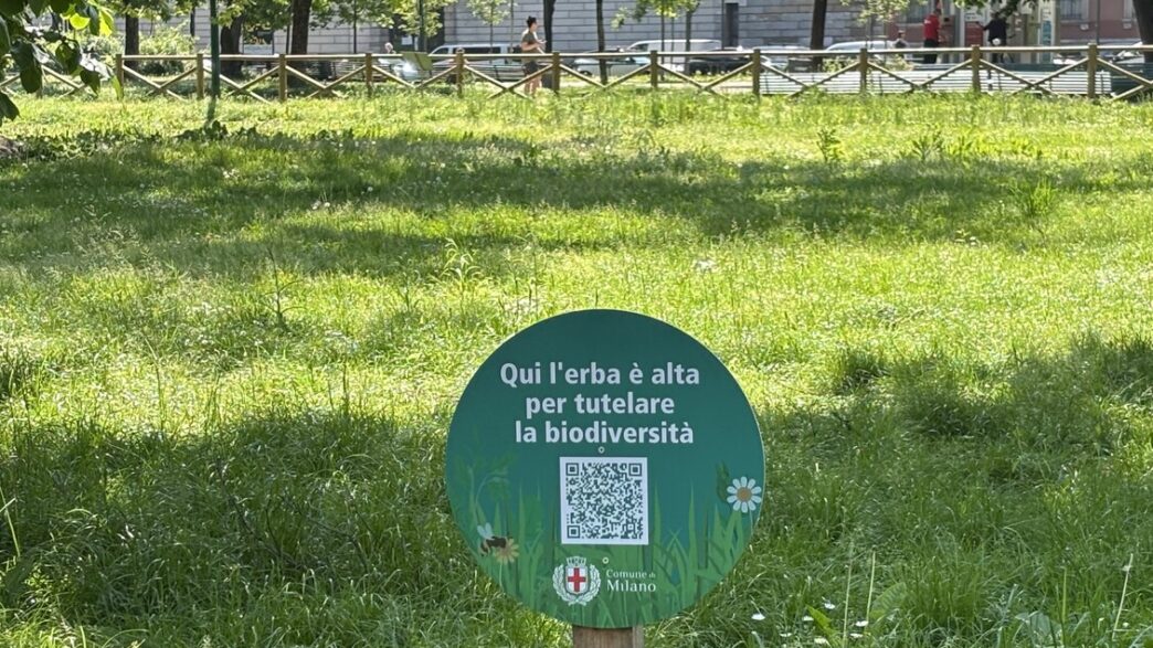 Il Comune Di Milano Raddoppia