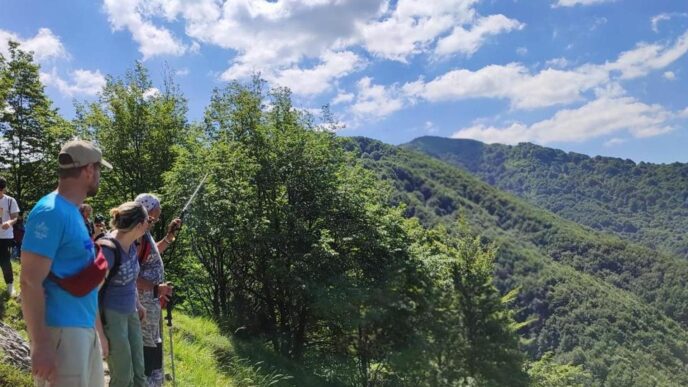 Il Limite Della Fibra E Il Fut