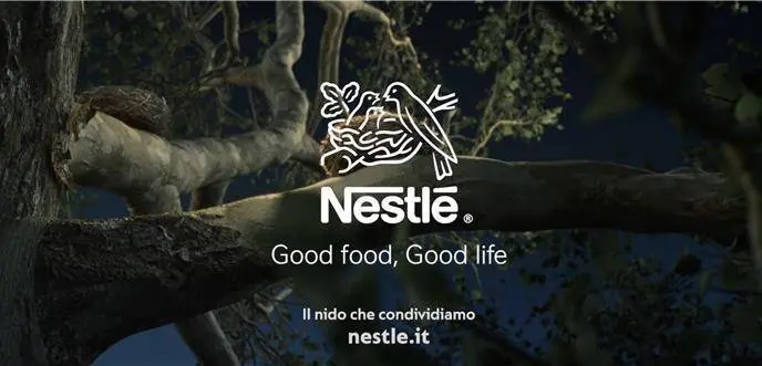 Il Nido Come Simbolo Di Cura E