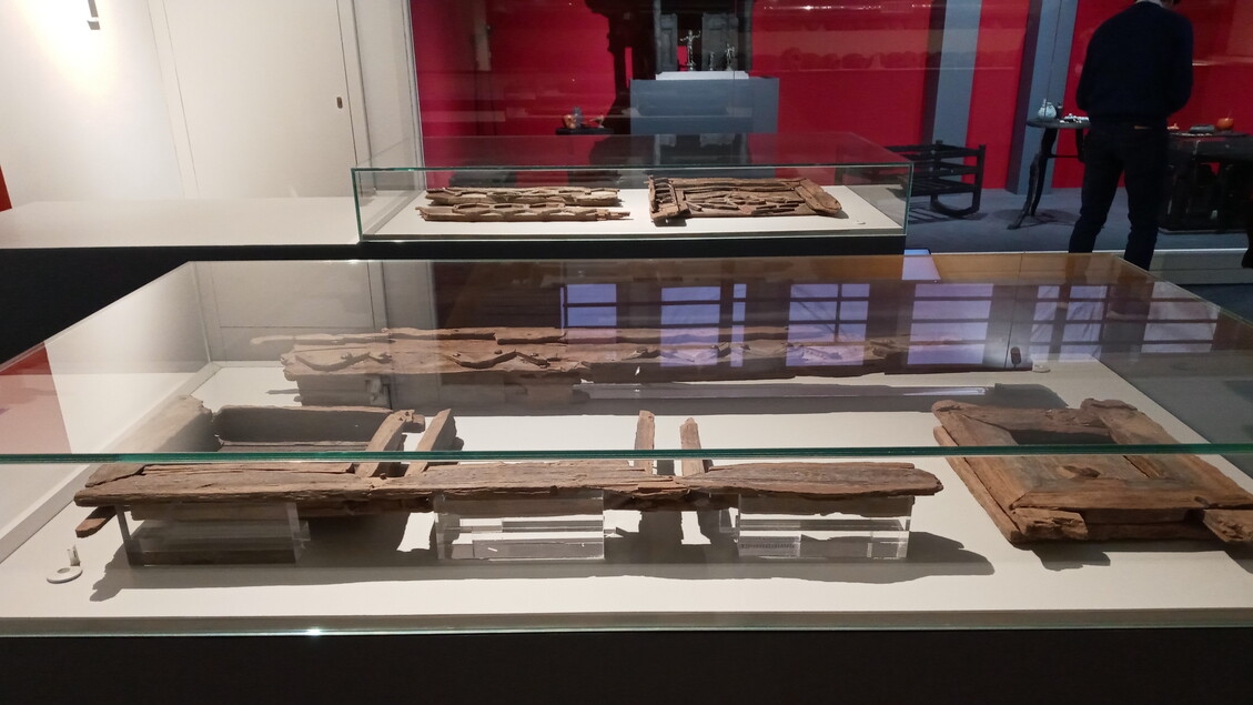 Il Patrimonio Ligneo Di Ercola