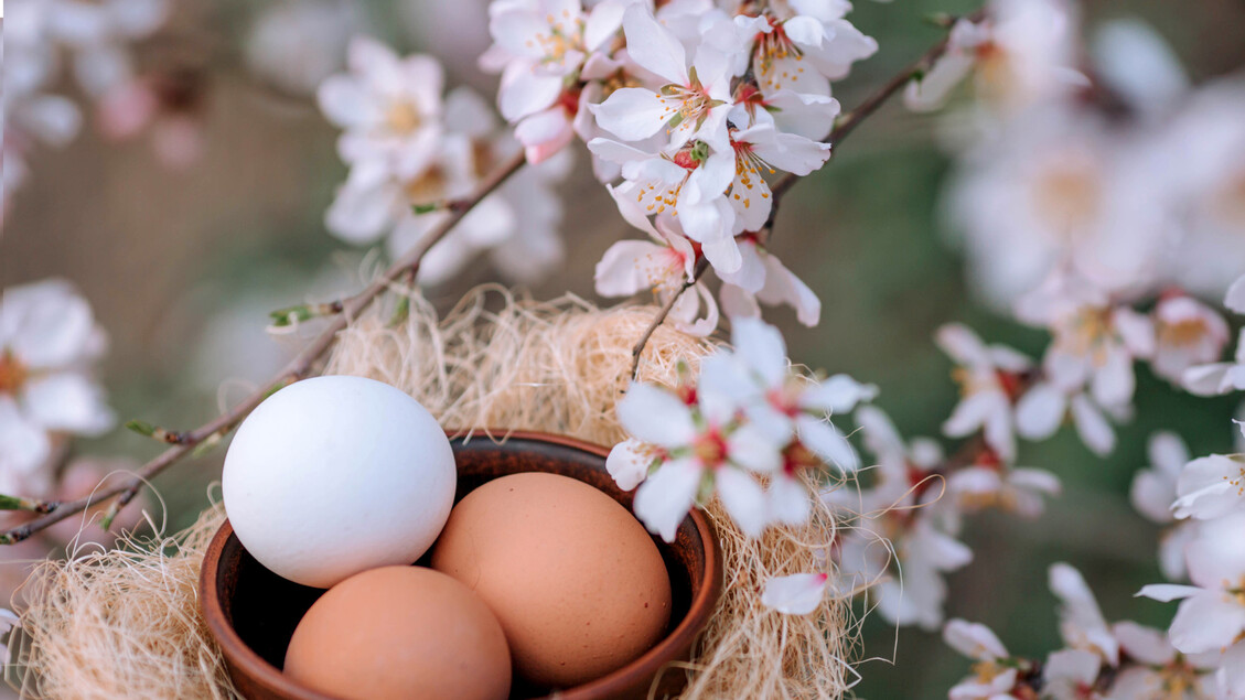 Il Pranzo Di Pasqua In Italia3A