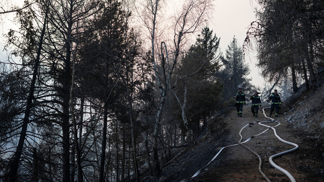Incendio Boschivo In Controllo