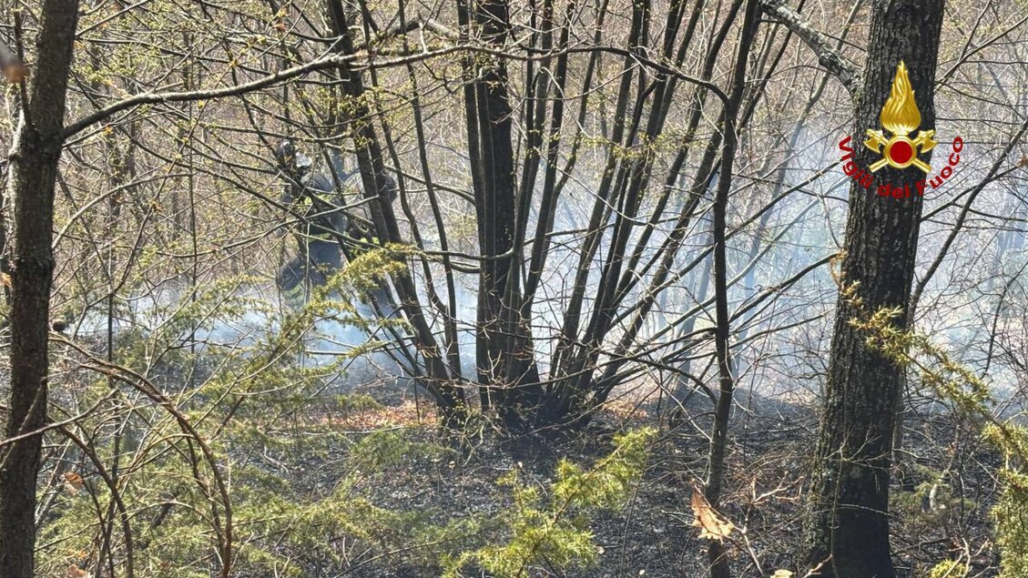 Incendio Devasta Un Ettaro Di
