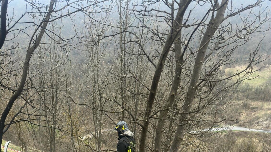 Incidente Aereo A Isola Del Ca