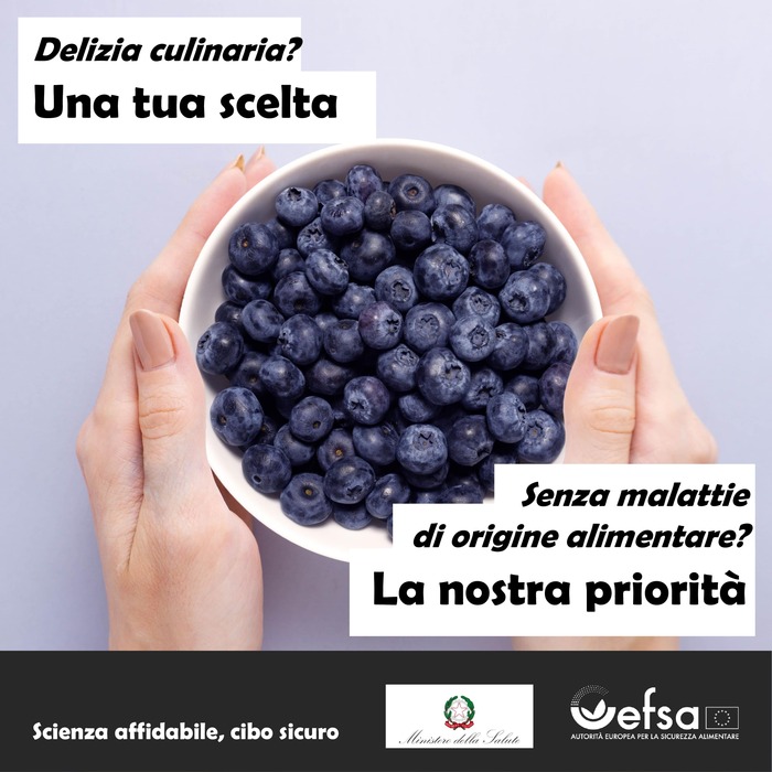 Le28099Autoritc3A0 Europea E Il Minist
