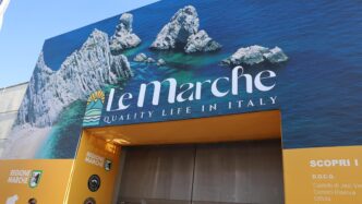 Le Marche Protagoniste Al Vini