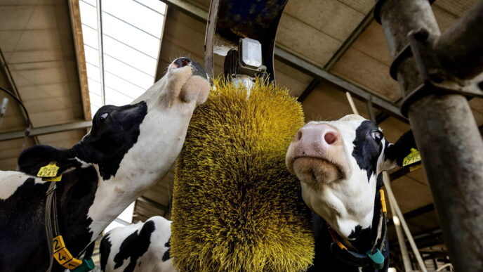 Le Cooperative Lattiero Casear