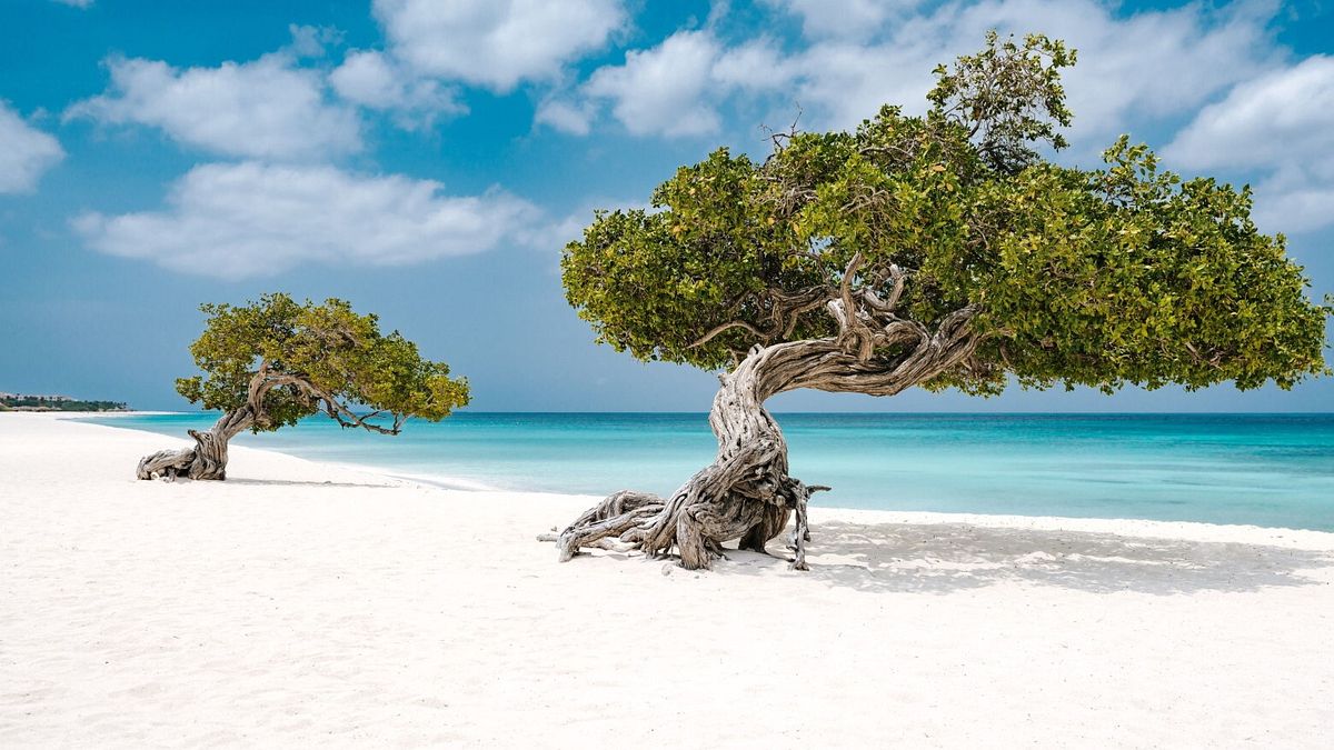 Le Spiagge Di Aruba3A Le Pic3B9 Be