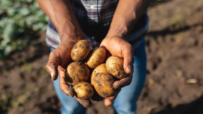 Macfrut 2025 Dedica Uno Spazio